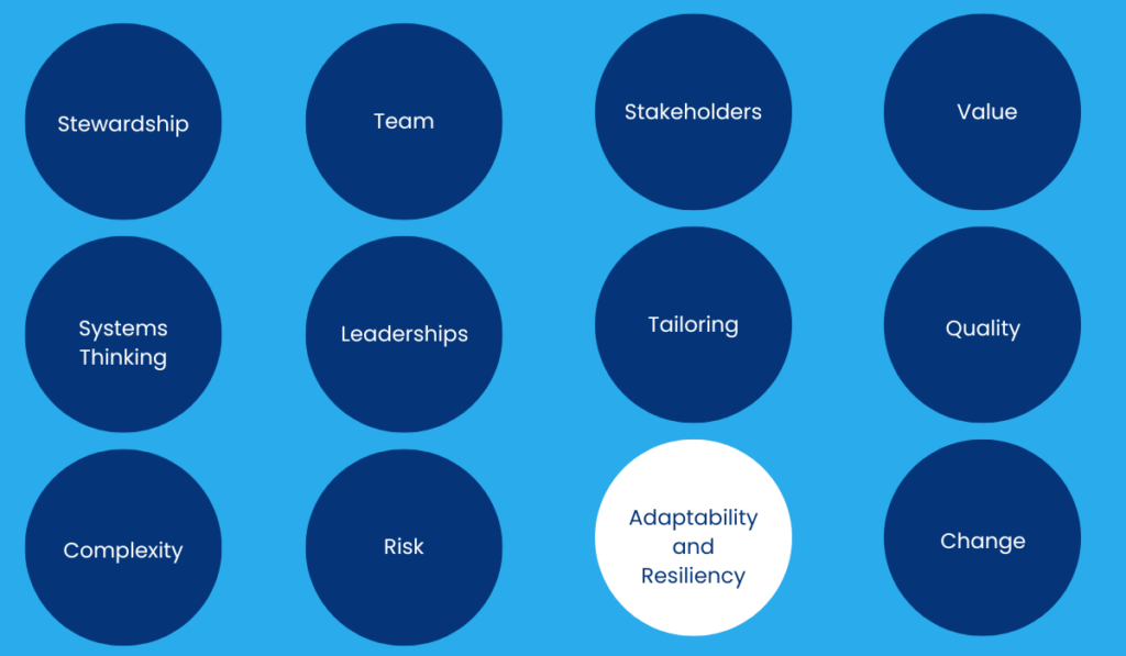 Adaptability and Resiliency -  Principles of Project Management